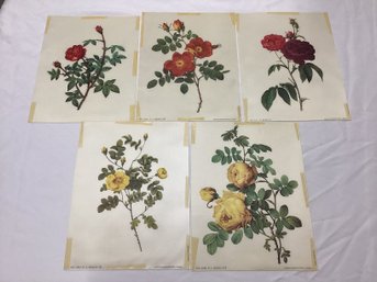 PJ Redoute Rose Prints On Cloth