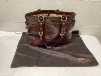 Coach Bag With Dust Bag