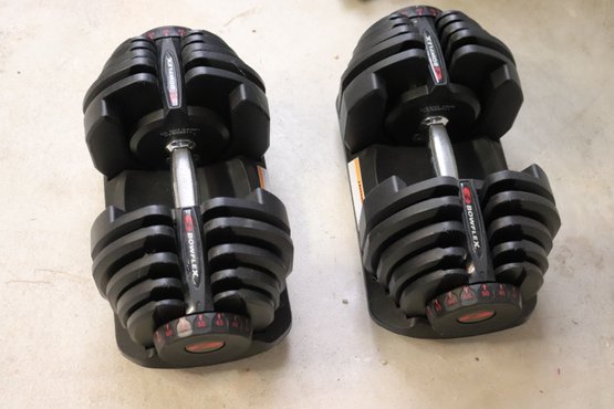 Pair Of Bow Flex Graduated Weights With Holder. Excellent!