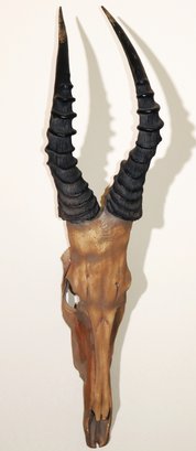 Replica Animal Skull With Long Horns
