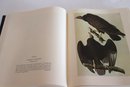 The Original Watercolor Paintings By John James Audubon For The Birds Of America 1966 With Hard Cover