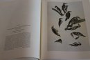 The Original Watercolor Paintings By John James Audubon For The Birds Of America 1966 With Hard Cover