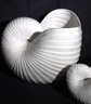 Large Decorative Seashell Decor/planters