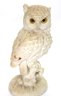 Owl Miniatures Includes Barred Owl Majestic Owls Of The Night By Mauri, White Bird Classic Figure.