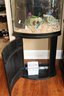 36 Gallon Bow Front Style Fish Tank Includes Stand & Accessories