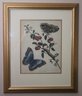 Pair Of Framed Butterfly Prints From The Zoological Society Of London In Gilt Frames