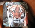 Large Tigress With Cub Stuffed Plush With Tag From Best Made Toys Limited