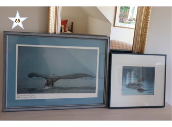 2 Framed Nautical, Sea, Prints