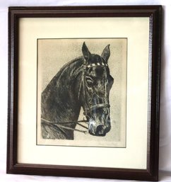 Paul Casberg Horse Portrait Print In The Frame Signed By The Artist In The Lower Corner
