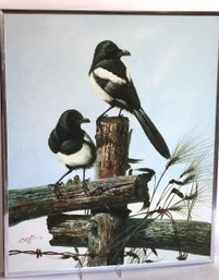 Magpie Bird Painting On Canvas By C. C. Jeffares