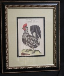 Framed Rooster Print Decor In Frame