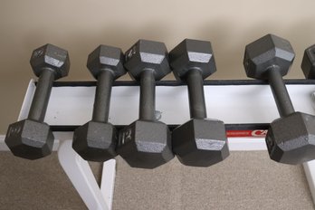 Vintage Cal-Gym Weights And Metal Holder.