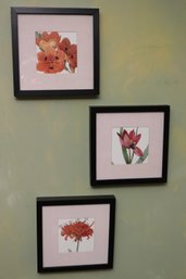 3 Framed Floral Prints, Great For Home Decor