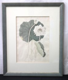 Elegantly Framed Vintage Botanical Print Of Sacred Lotus In A Peaceful Shade Of Green