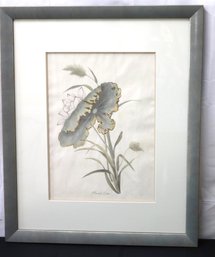 Vintage Framed Botanical Print Of Sacred Lotus Flower And Green Leaf.