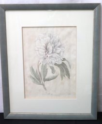 Professionally Framed Botanical Print Of White Blooming Peony Flower