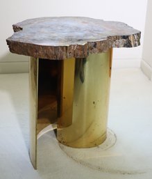 Vintage Petrified Wood Slab On Cylindrical Polished Brass Base