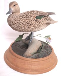 Chuck Robertson Realistic, Hand Carved And Decorated Green Winged Teal Drake Sculpture.