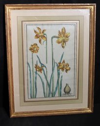 Framed Botanical Print/ Etching Measures Approximately 15 W X 20 Tall.