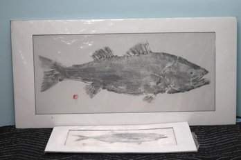 East End Fish Print Of Bluefish & Striped Bass, By Goldberg And Sessler.