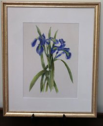 Blue Iris Water Color Painting In Frame