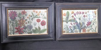 Pair Of Vintage Hand Colored Botanical Plant Prints In Black Wooden Frames With Vibrant Colors.