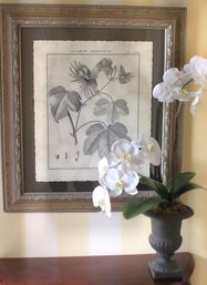 Beautiful Sepia Toned Framed Botanical Print And Faux White Orchid In Iron Urn.