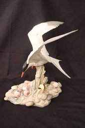 Large Collectable Boehm Porcelain Figurine Of A Common Tern With Hatchling.