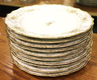 Floral Painted Plates By Richard Briggs & Co