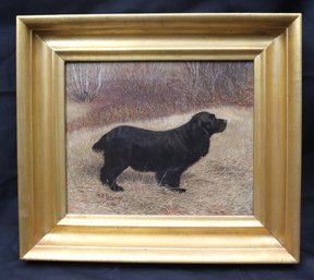 Vintage Newfoundland Dog Portrait Painting Signed By Artist H.B Tallman In The Frame