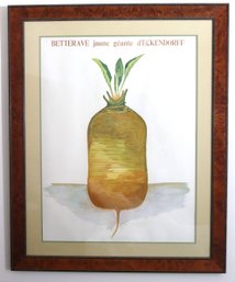 Vintage French Framed Print Of Beetroot In Burl Wood Frame