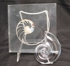 Val St Lambert Crystal S Paperweight And Bisected Shell In Lucite.