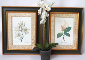 Framed Floral Prints &  Faux Decorative Wild Flower Decor