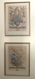 Pair Of Antique 18th Century Hand-colored Framed Botanical Prints January And February"
