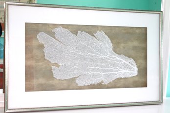 Contemporary Dried Coral Fan Art In A Rustic Matted Frame