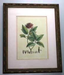 John Richard Modern Crimson IV Botanical Print In A Matted Wood Frame With Custom Finish & Crackle Finish