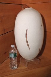1980s Era Peter Durst Studio Tall Oval Shaped Ceramic Vase On Lucite Stand