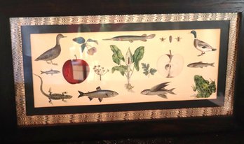 Framed Print Of Wildlife