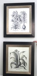 Pair Of Framed Black & White Botanical Prints
