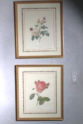 Pair Of Botanical Portraits In Gilded Frames Includes Bengale The Hymenee And Rosier Foliacea