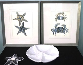 Star Fish Prints Measure & More As Pictured