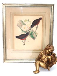 Gold Toned Cherub Decor & Pitta Venusian Bird Print By Elliot