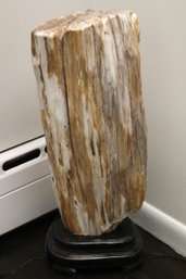 Large Natural, Petrified Wood Piece On Wooden Stand, Elegant Light Beige Colors.