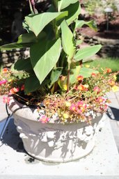 Cement Garden Planter With Embossed Fruit Cluster Design