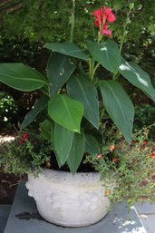 Cement Garden Planter With Embossed Fruit Cluster Design