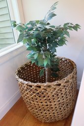 Oversize Rattan Basket With Silk Ficus Tree.