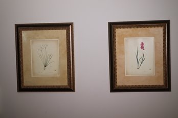 The New York Botanical Garden Prints