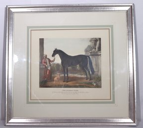 Vintage Equestrian Framed Print Titled The Byerley Turk Featuring A Splendid Black Stallion.