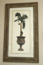 Tall, Framed Print, Of A Palm Tree, In A Neoclassical Style Urn.