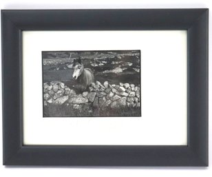 Connemara Pony Signed Print With Embossed Seal From Giles Norman Galleries